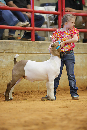 East Texas State Fair - Goat Show-044