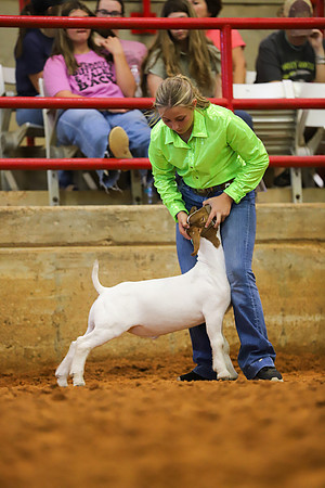 East Texas State Fair - Goat Showmanship-044