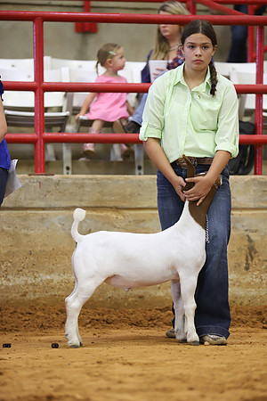 East Texas State Fair - Goat Show-076