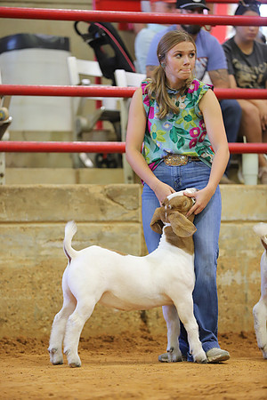 East Texas State Fair - Goat Show-090