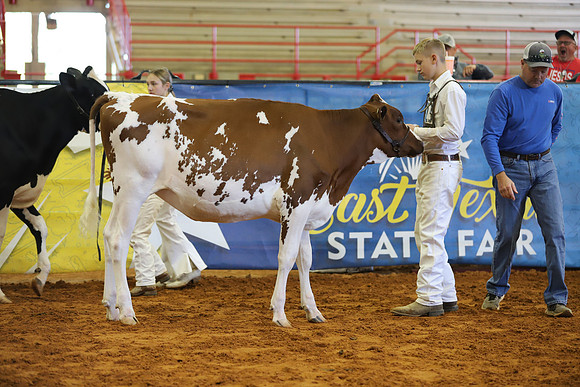 East Texas State Fair - Dairy Show-327