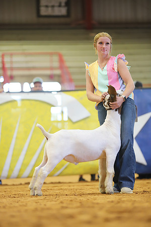 East Texas State Fair - Goat Show-012