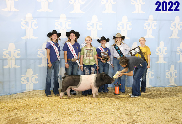 lot 169