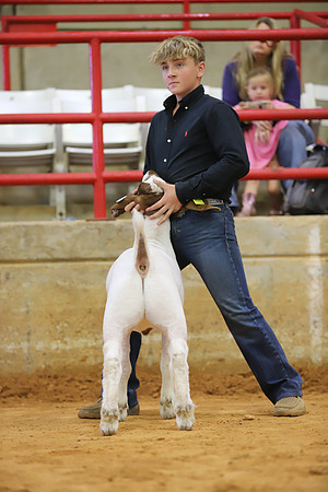East Texas State Fair - Goat Show-009