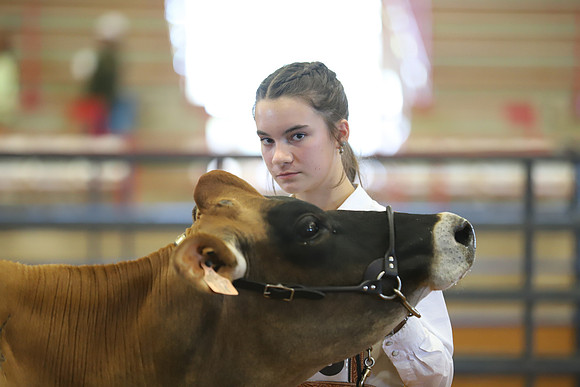 East Texas State Fair - Dairy Show-074