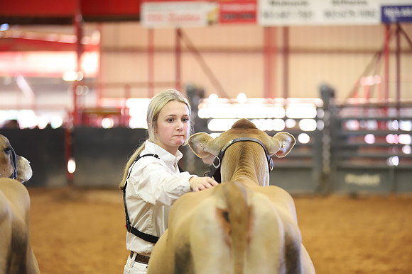 East Texas State Fair - Dairy Show-131