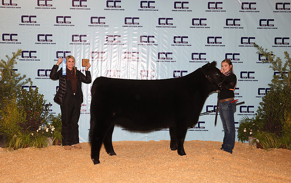 Cattle Backdrop 6
