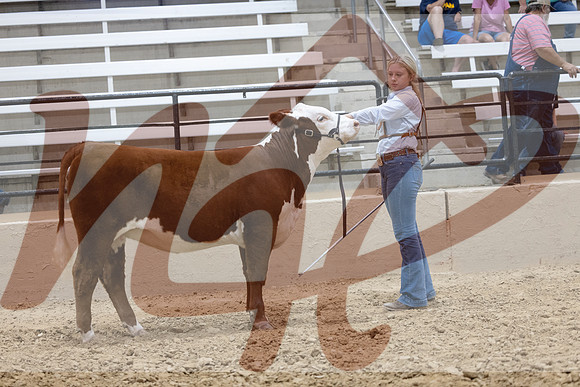Luftkin-236