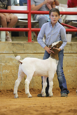 East Texas State Fair - Goat Show-091