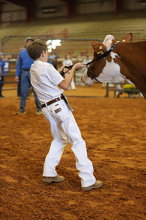 East Texas State Fair - Dairy Show-321