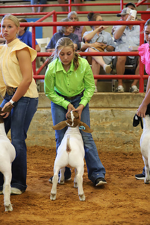 East Texas State Fair - Goat Showmanship-076