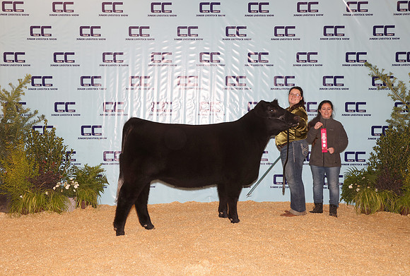 Cattle Backdrop 11