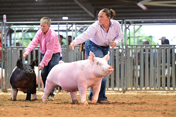 CW25-GrimesCo-5378