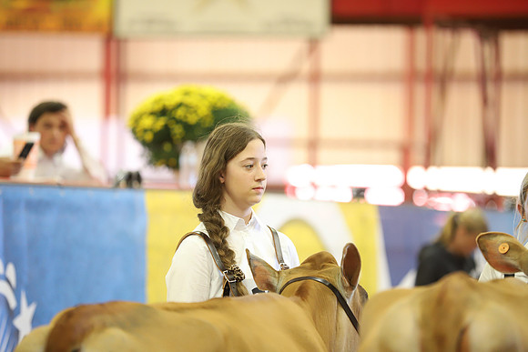 East Texas State Fair - Dairy Show-136