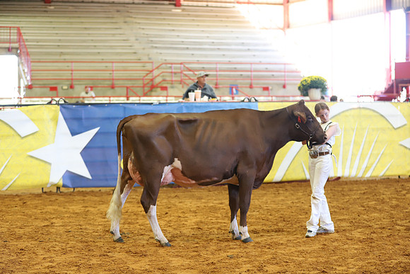 East Texas State Fair - Dairy Show-182