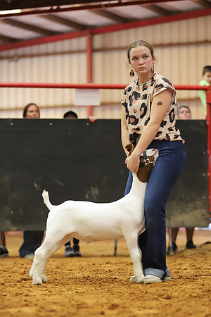 East Texas State Fair - Goat Showmanship-122