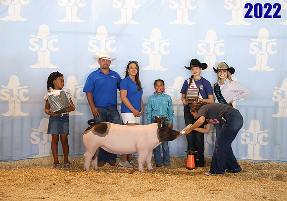 lot 166