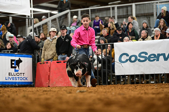 DSC_1635