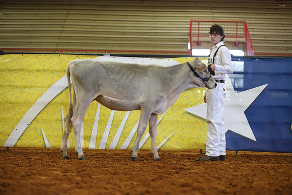 East Texas State Fair - Dairy Show-380
