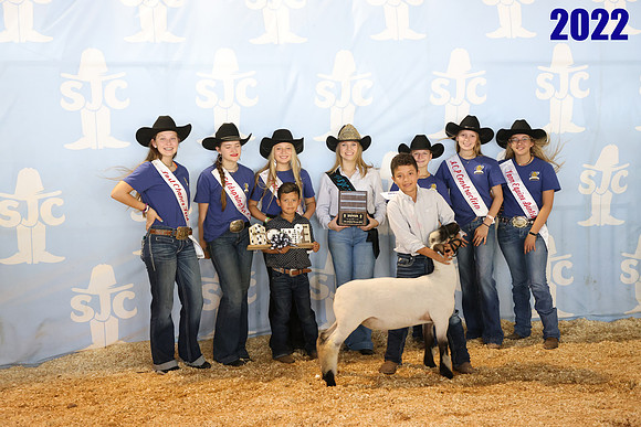 lot 134
