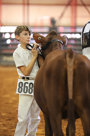 East Texas State Fair - Dairy Show-261