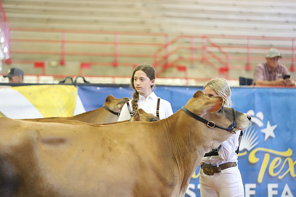 East Texas State Fair - Dairy Show-143