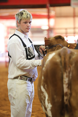 East Texas State Fair - Dairy Show-260