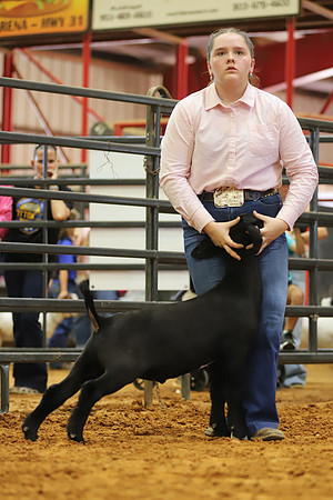 East Texas State Fair - Goat Showmanship-121