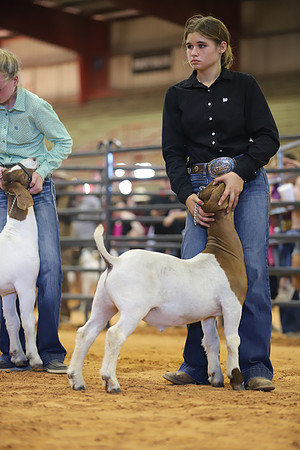 East Texas State Fair - Goat Show-036