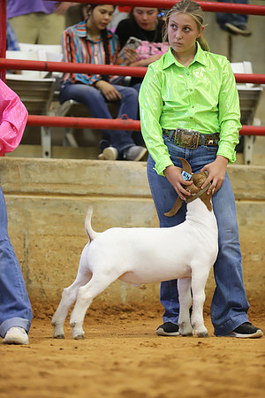 East Texas State Fair - Goat Show-111