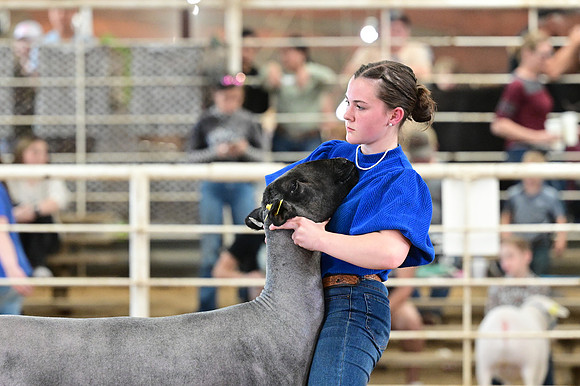 HNP_9765