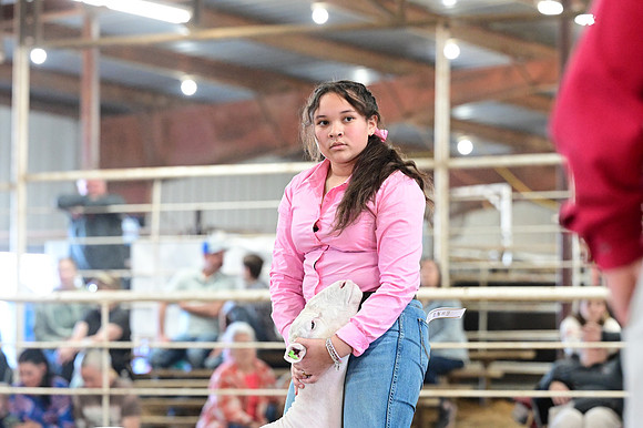 HNP_9506