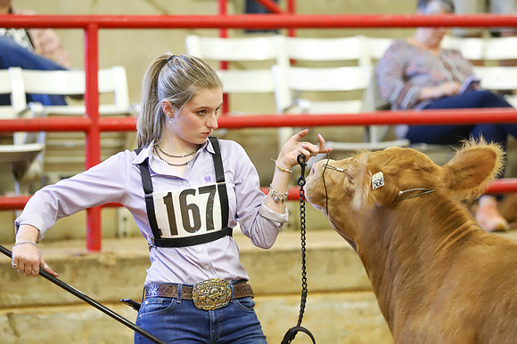 East Texas State Fair - Steer Show-032