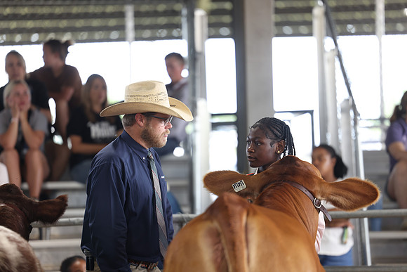 IMG_6708
