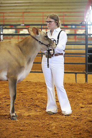East Texas State Fair - Dairy Show-095