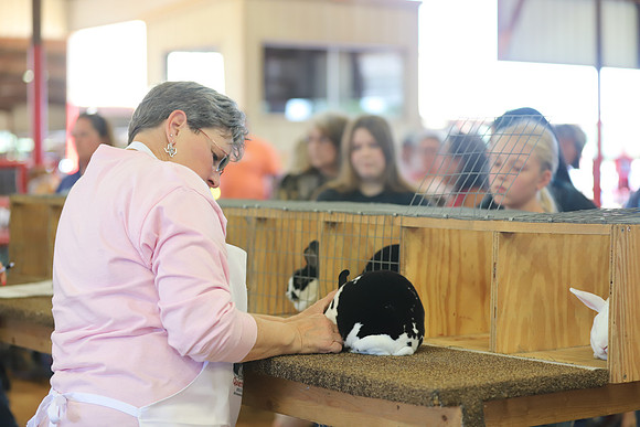 EastTexasStateFair-RabbitShow-25