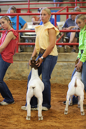 East Texas State Fair - Goat Showmanship-078