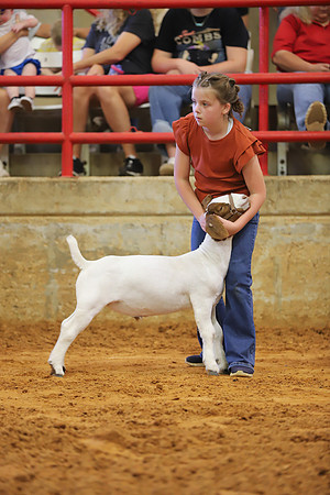 East Texas State Fair - Goat Showmanship-062