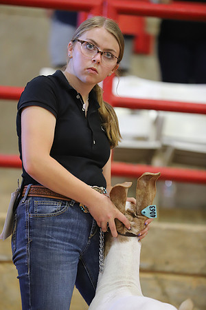 East Texas State Fair - Goat Show-077