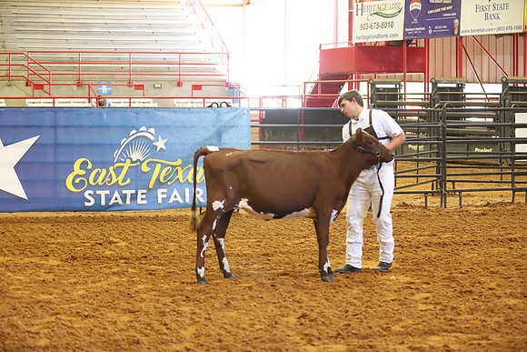 East Texas State Fair - Dairy Show-222