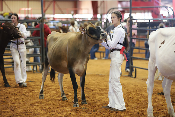 East Texas State Fair - Dairy Show-045