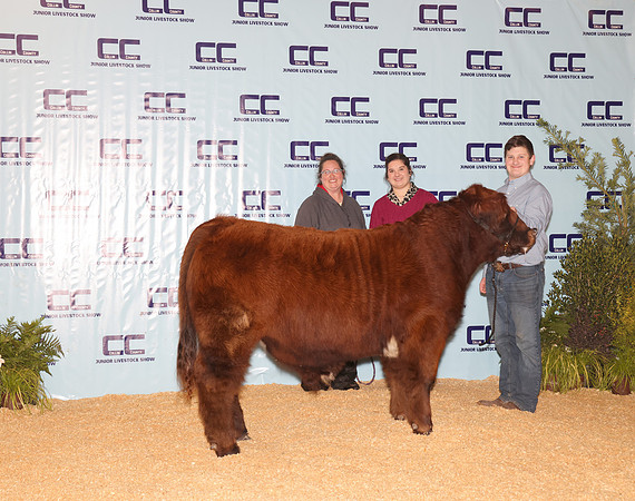 Cattle Backdrop 18