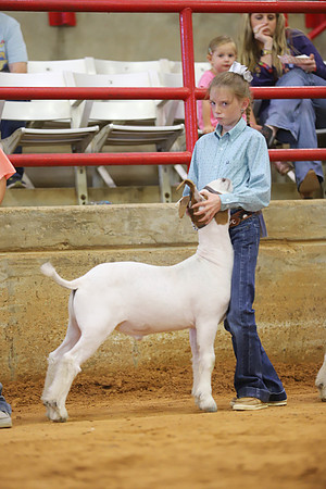 East Texas State Fair - Goat Show-049