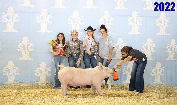 lot 119