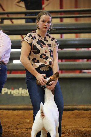 East Texas State Fair - Goat Showmanship-127