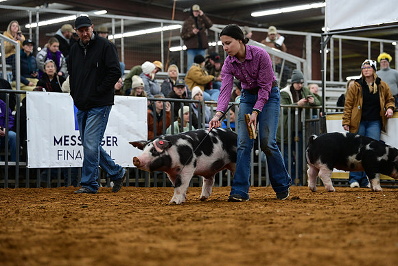 DSC_1604
