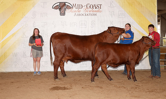 Midcoast 6