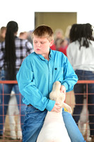 CVW_2444