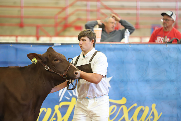 East Texas State Fair - Dairy Show-245