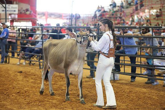 East Texas State Fair - Dairy Show-046